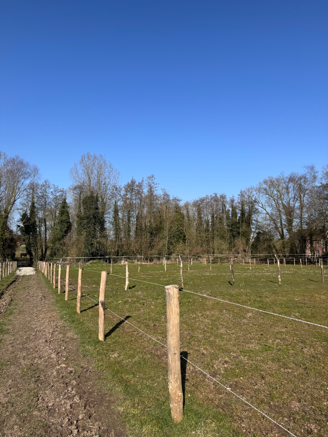 Elektrische afrastering met schrikdraad rond een paardenweide