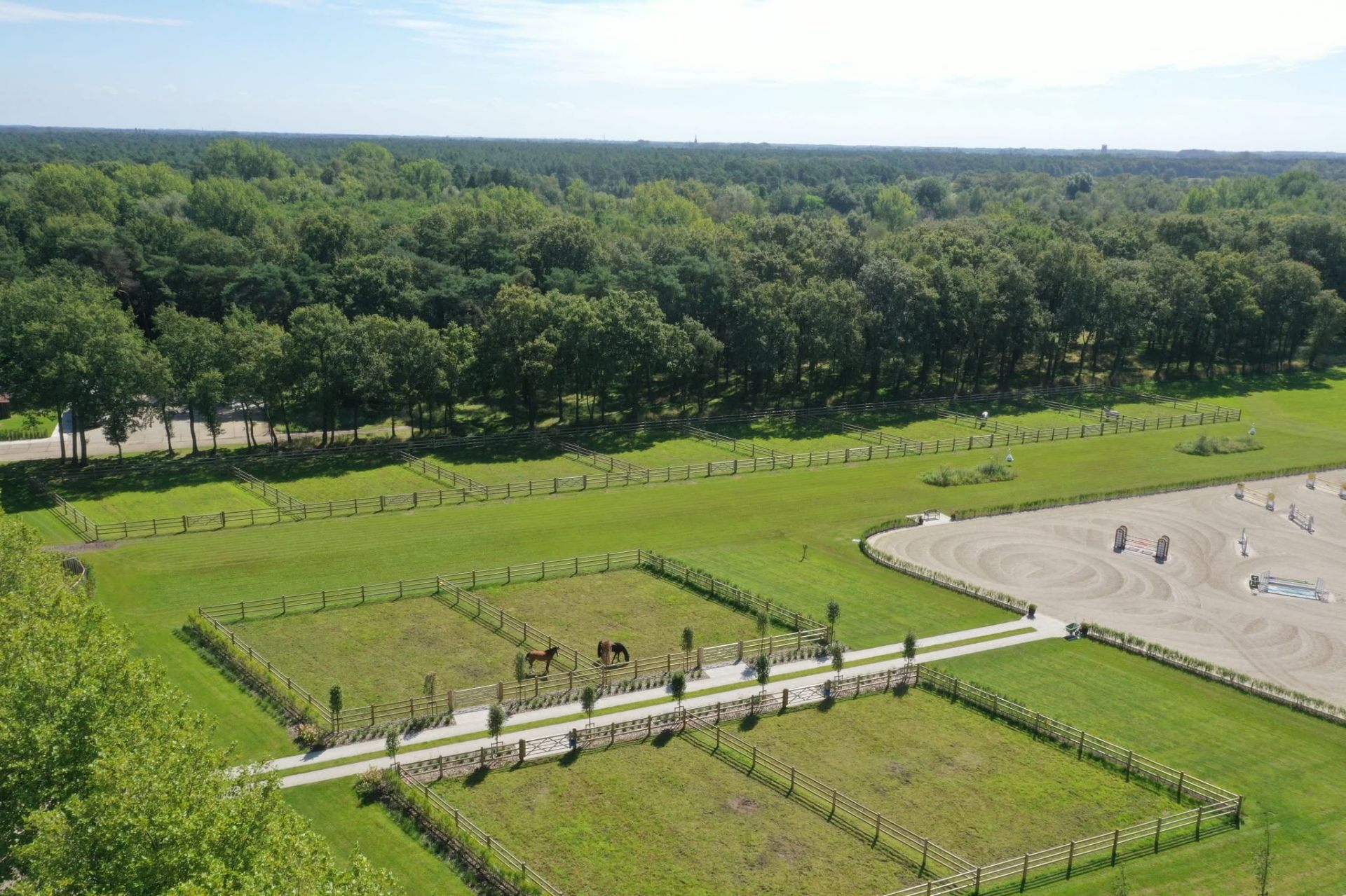 Professionele paardenaccommodatie — foto 1