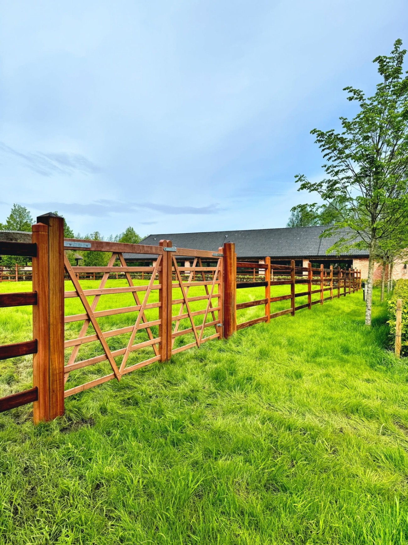 Stephex Stables