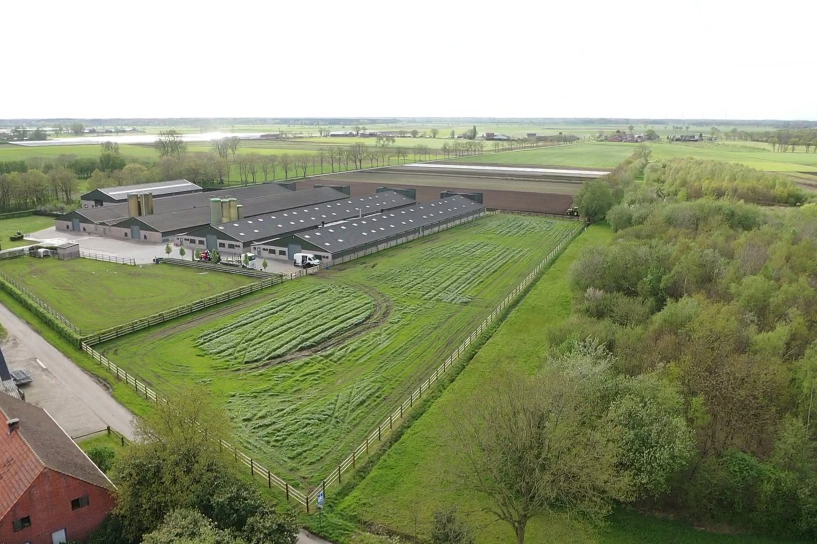 Professionele paardenstal